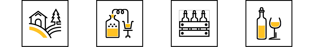 Risorsa 7