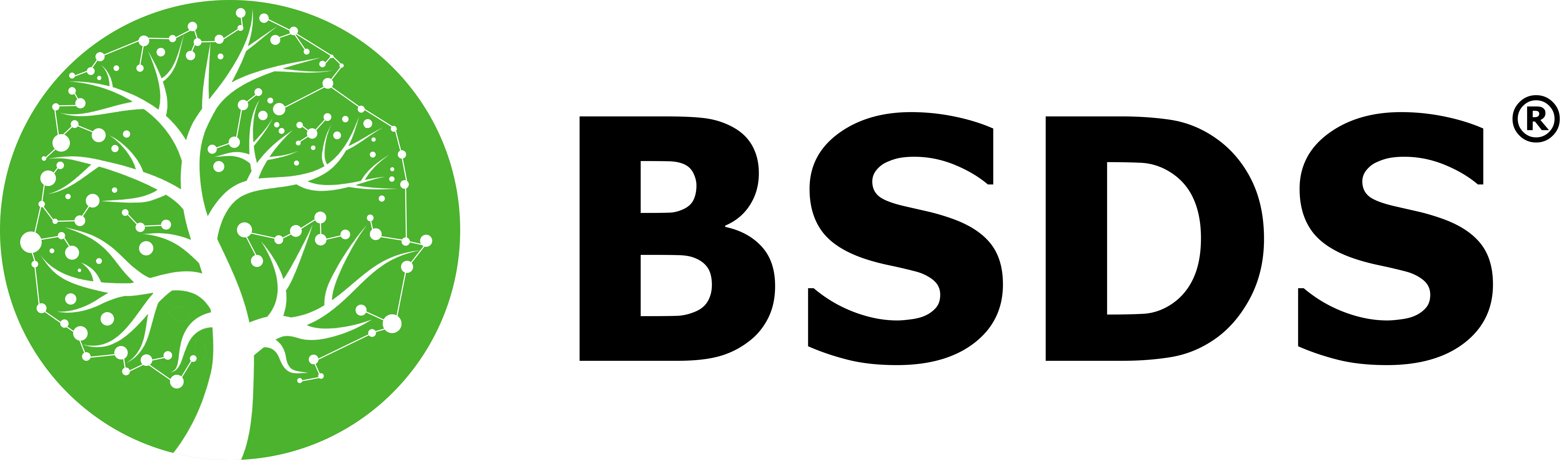 bsds_logo